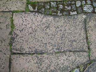stockflecken_ stockflecken_