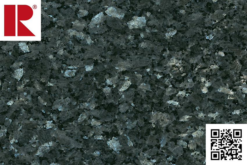 labrador_blue_GT