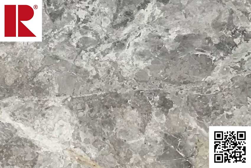 silver_shadow