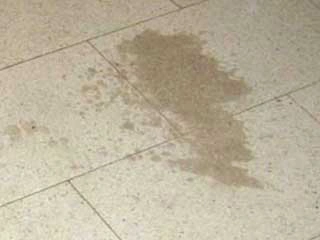 fettflecken Fettflecken