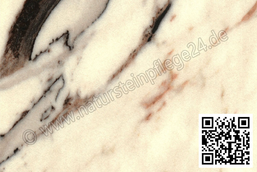 breccia-capraia breccia-capraia