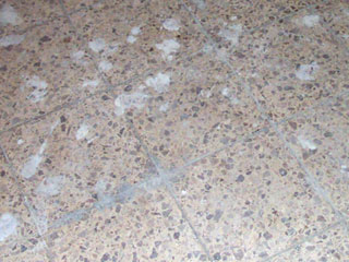 Dispersionsfarbe dispersionsfarbe