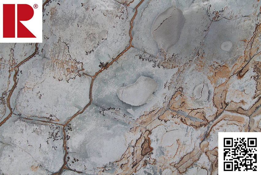 brazilian_fossil brazilian_fossil